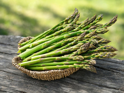 The Secrets to Growing Asparagus From Seed for Years of Increasing Harvests