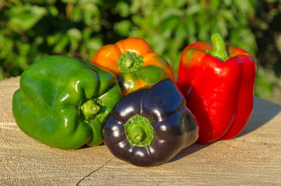 The Home Gardener's Guide to Sweet Bell Pepper Colors and Flavors