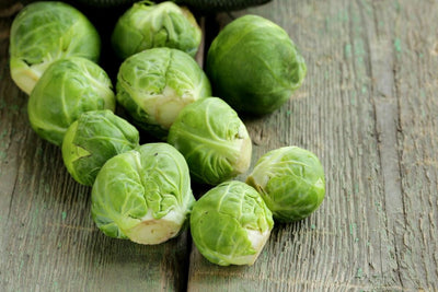 Growing Your Own Brussels Sprouts from Seed: A Step-by-Step Guide