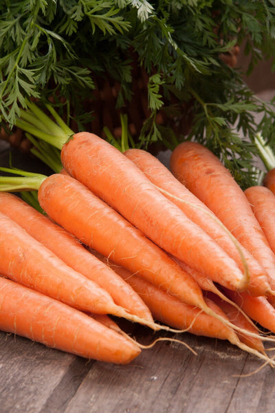 How to Grow Carrots: Your seed starting and growing success guide