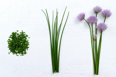How to Grow Chives - Why Your Garden Loves This Oniony Herb