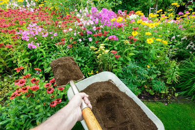 How to Use Compost Throughout the Garden Season for Optimal Growth