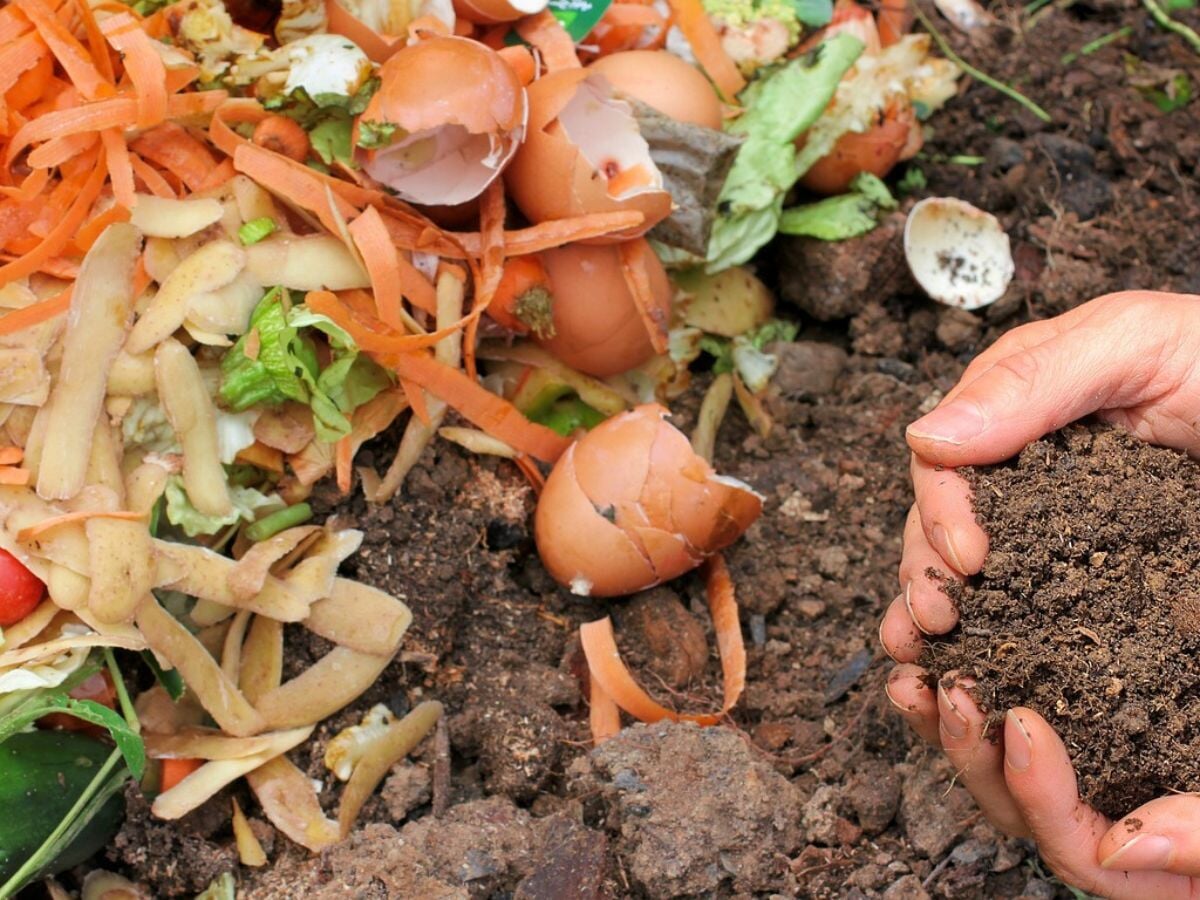 What Can You Compost? An Easy List of Home Compostables – Sow Right Seeds