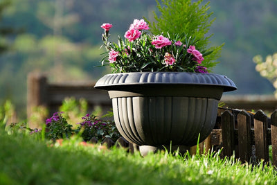 A Lazy Gardener’s Best Friend: Self-Watering Containers