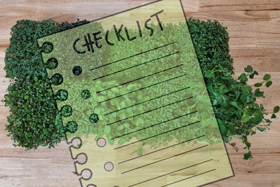 Winter Wonder Checklist: December Garden Tasks You Want to Do Now