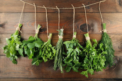 How to Dry Herbs to Preserve that Garden Fresh Flavor