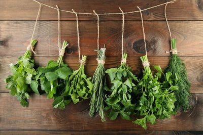 How to Dry Fresh Herbs to Preserve that Garden-Fresh Flavor