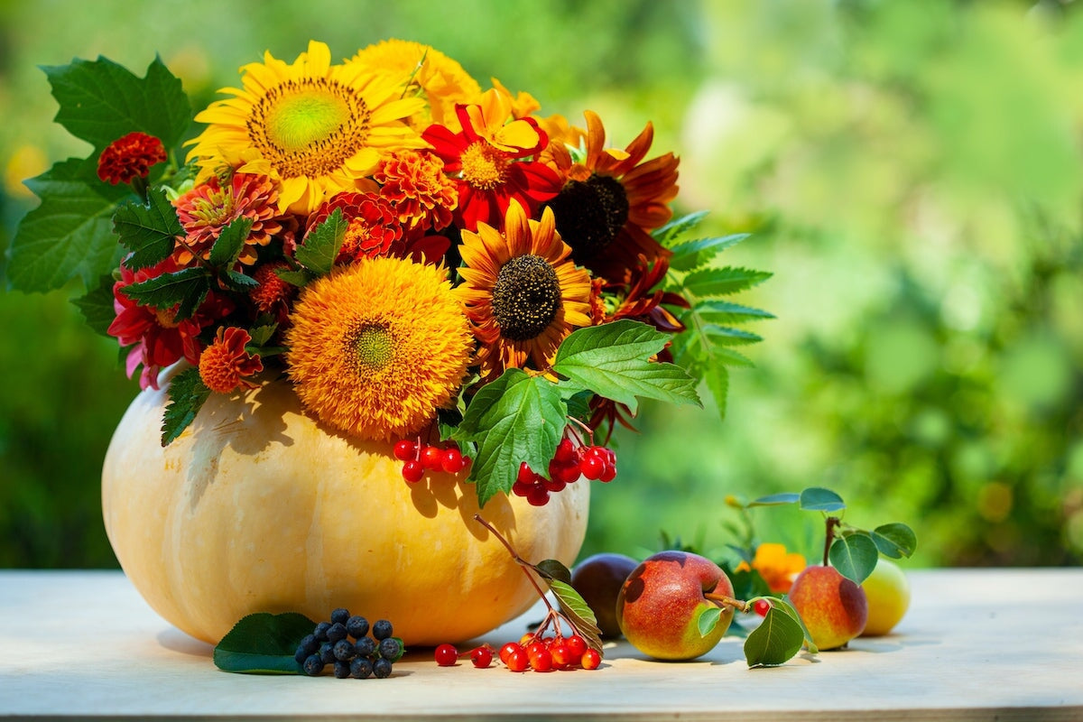 Our Favorite Fall Flowers to Plant for Autumn Blooms โ Sow Right Seeds