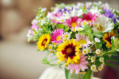 Making Bouquets: How to Tips for Easy Flower Arranging of Homegrown Blooms