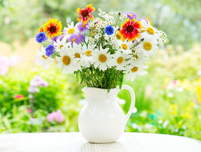 From Garden to Vase: How to Keep Cut Flowers Fresh
