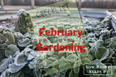 Show Your Garden Some Love - February Garden Chores