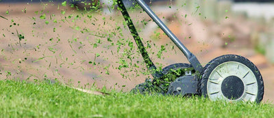 6 Ways to Use Grass Clippings to Benefit Your Lawn & Garden