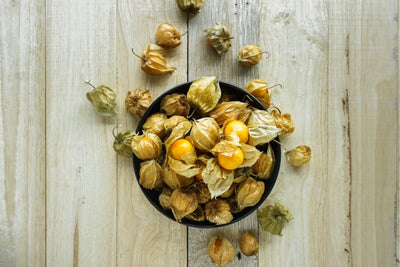 Grow Ground Cherries from Seed for Tropical Flavor You'll Love!