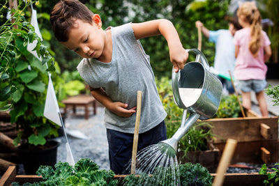 10 Good Reasons to Garden With Children