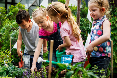 10 Fun and Easy Garden Science Experiments for Kids