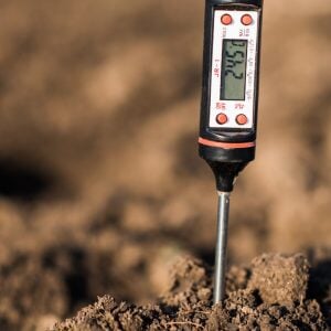 Is Your Soil Warm Enough? Find the Best Temperature for Seed Germination