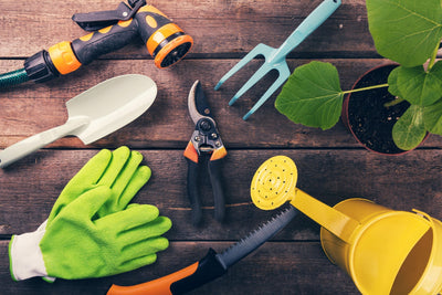 What Do I Need to Get Started? Essential Gardening Tools for Beginners