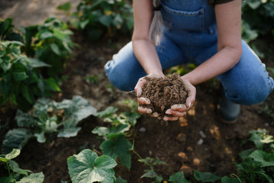 What’s the Dirt? Types of Soil for Healthy Garden Plants