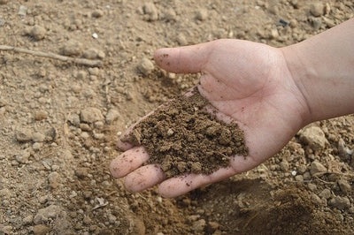 Four Factors for Ideal Garden Soil Quality