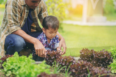 4 Important Reasons to Grow a Family Garden