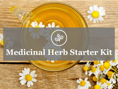 Medicinal Herb Garden Starter Kit Guide: Instructions for Planting 5 Herbs