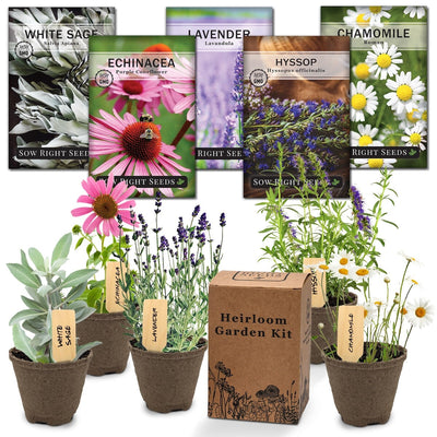 Biodegradable Seed Starting Kits for Your Favorite Herbs, Flowers, and Vegetables
