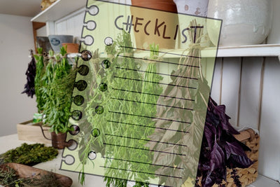 Thankful for the Harvest: What to Plant and Do in Your November Garden