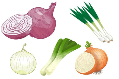 Yellow, White, Red, or Leeks? Choosing the Best Onion Variety to Grow