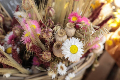 Drying Flowers: How to Preserve The Beauty of Your Cutting Garden