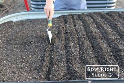 3 Key Components to Mix the Best Garden Soil for Your Raised Beds