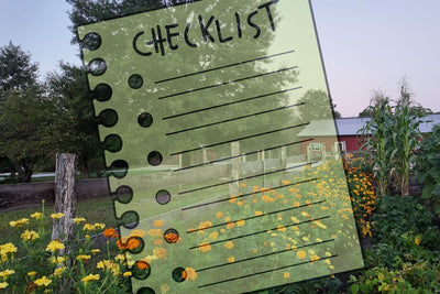 Are You Ready for Fall? September Garden Tasks for Your Seasonal Checklist