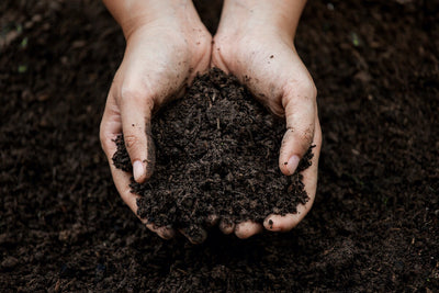 How to Use Compost Throughout the Garden Season for Optimal Growth