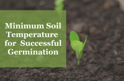 A Gardening Tool: Soil Temperature for Germination