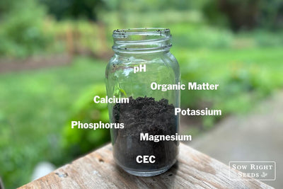 Garden Soil Testing: Worth the Lab Analysis? Take a Look at My Results