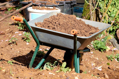 8 Places to Buy Compost or Get it For Free