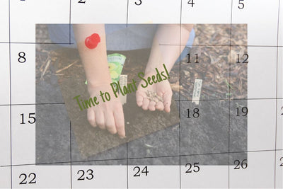 What Can I Plant Now? Use Our Seed Starting Calculator by Zip Code