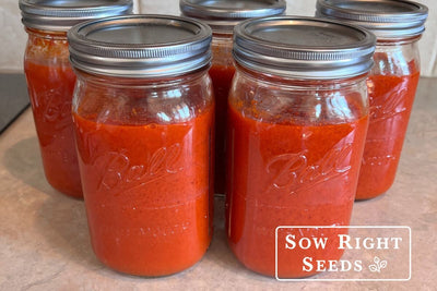 Fresh Homemade Tomato Sauce Recipe for Canning