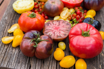 Not all Tomatoes Taste the Same! A Quick Guide to Tomato Flavors by Color