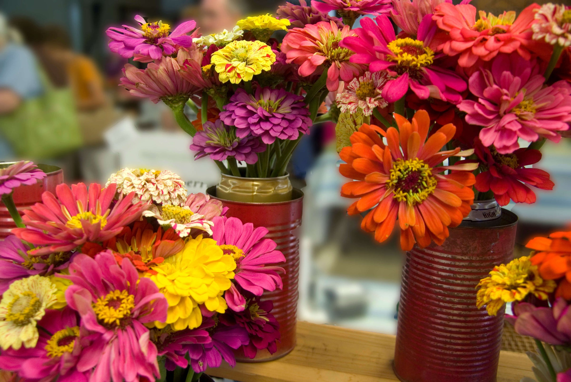 Zinnia flowers in home made vase