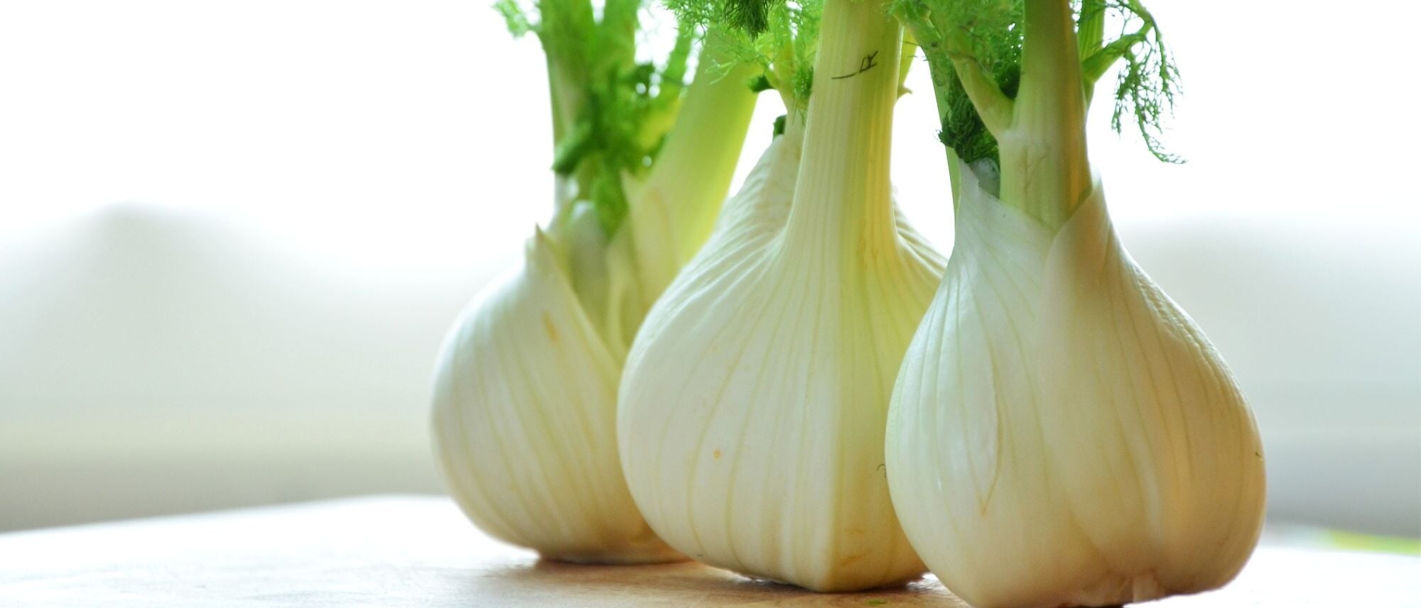 Grow this nutritious vegetable for its bulbs or use it as an herb to harvest and make delicious fennel spice