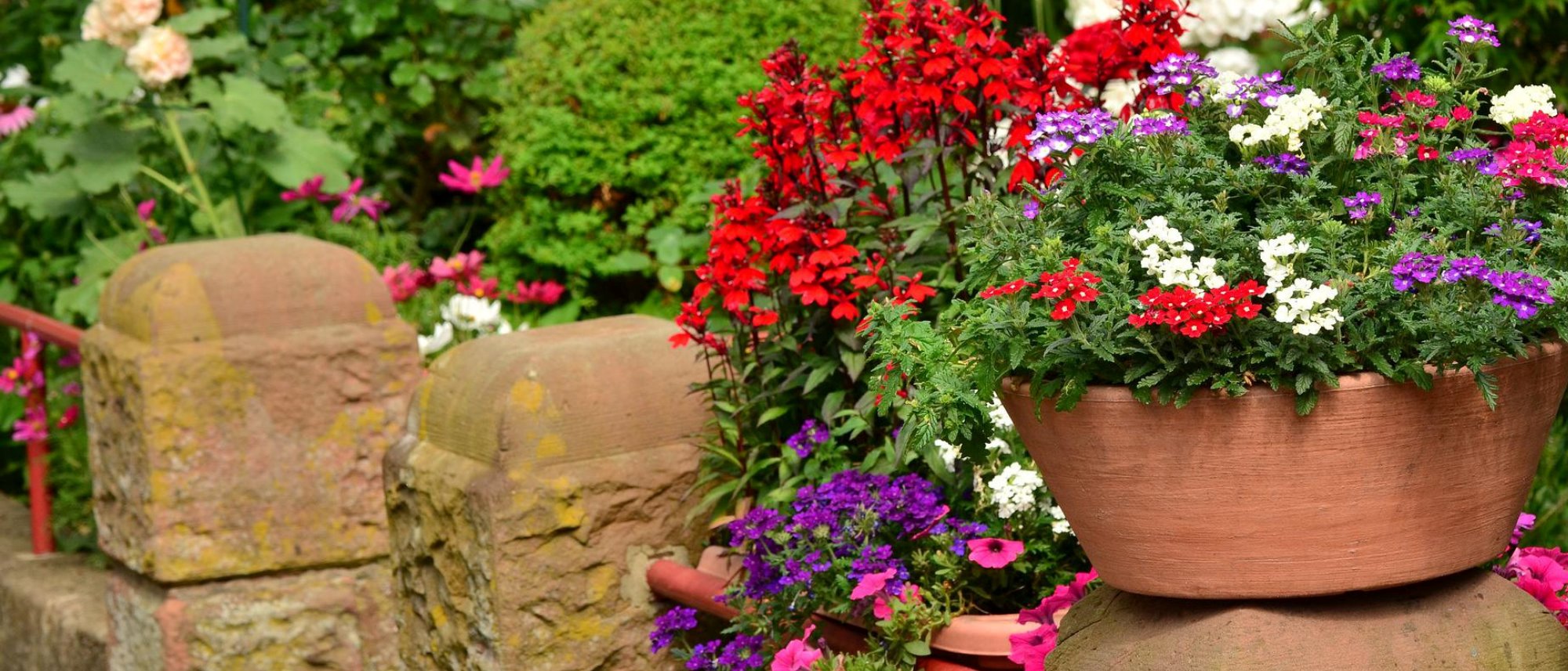 Grow flowers in containers
