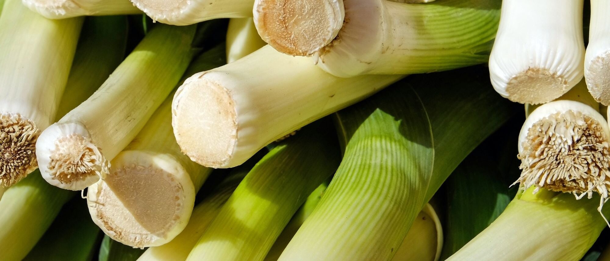 Grow leeks for a fresh onion taste in your garden