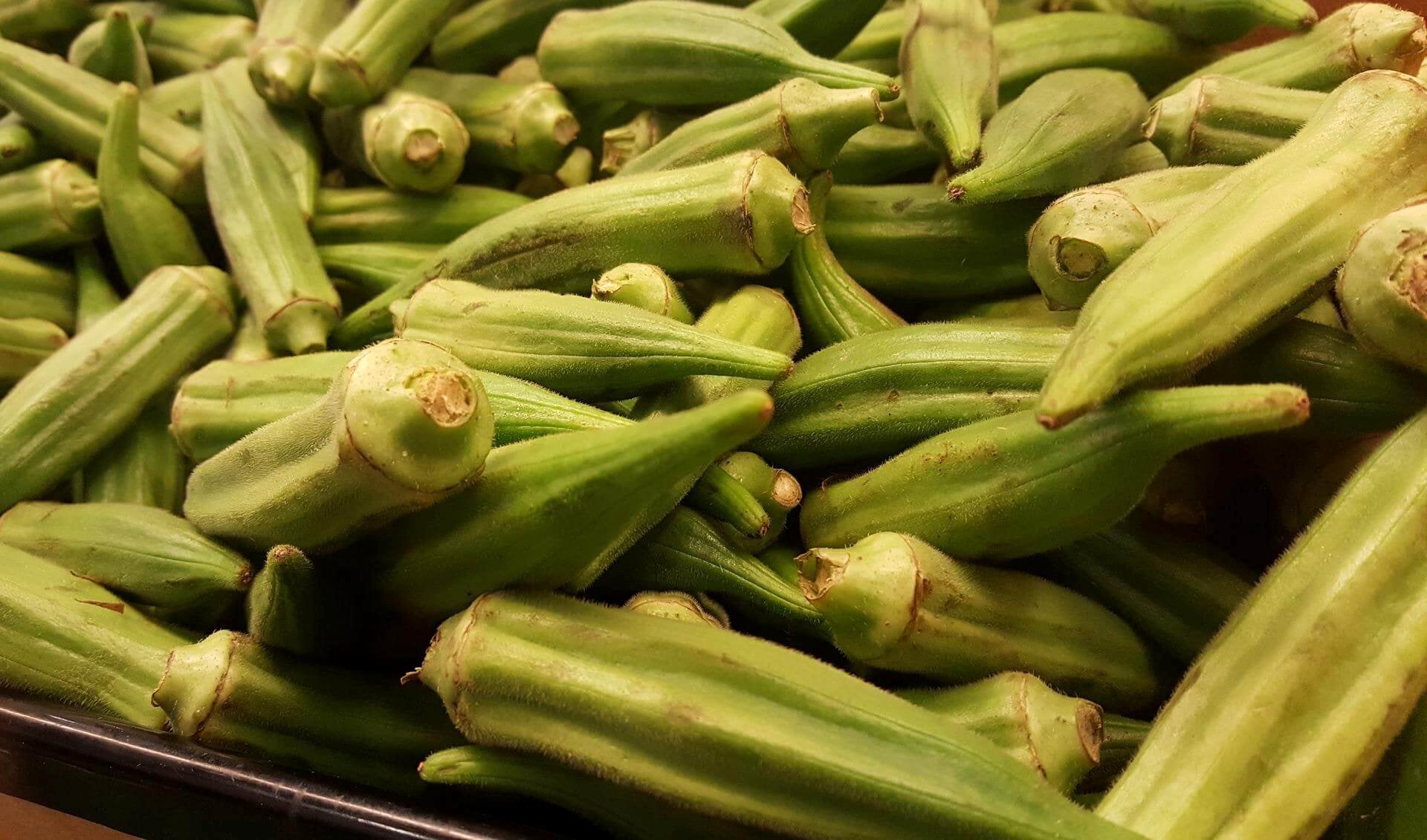 Grow your own fresh green okra pods