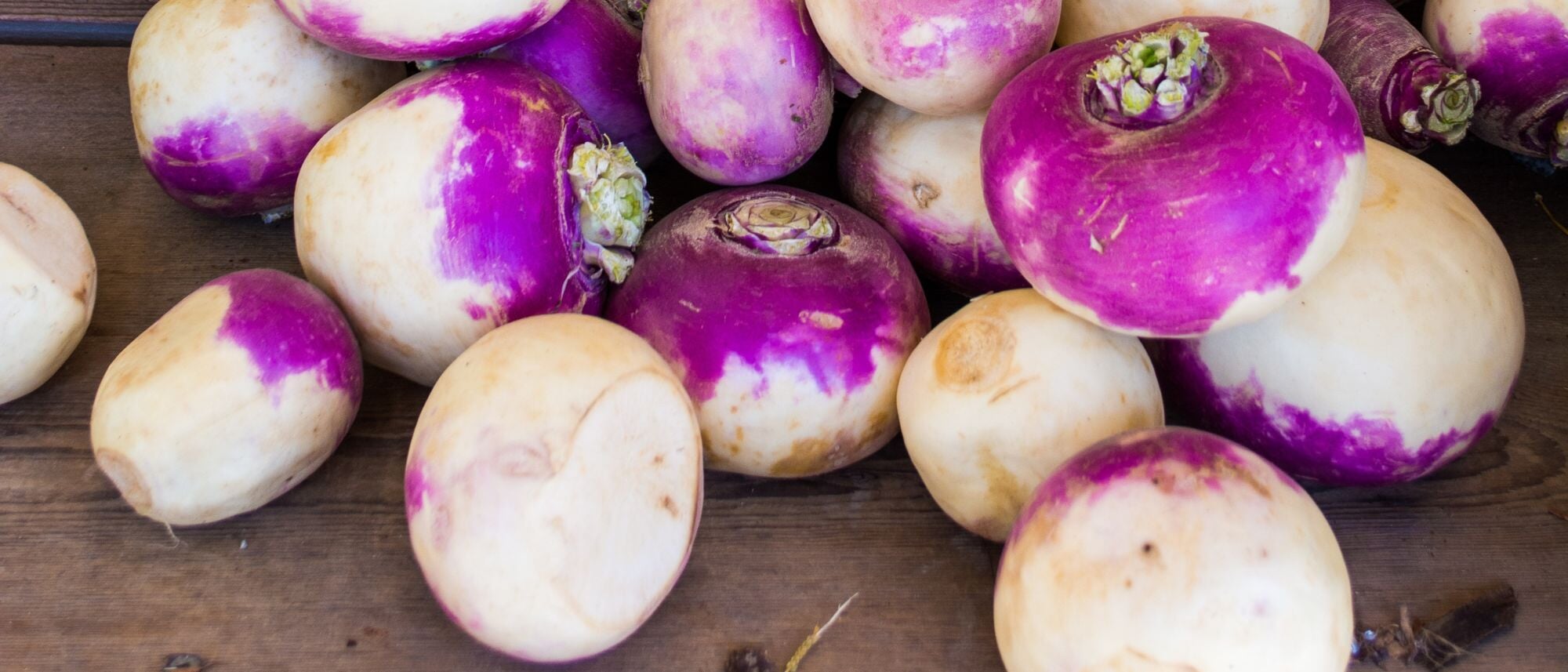 purple and white turnips from the garden