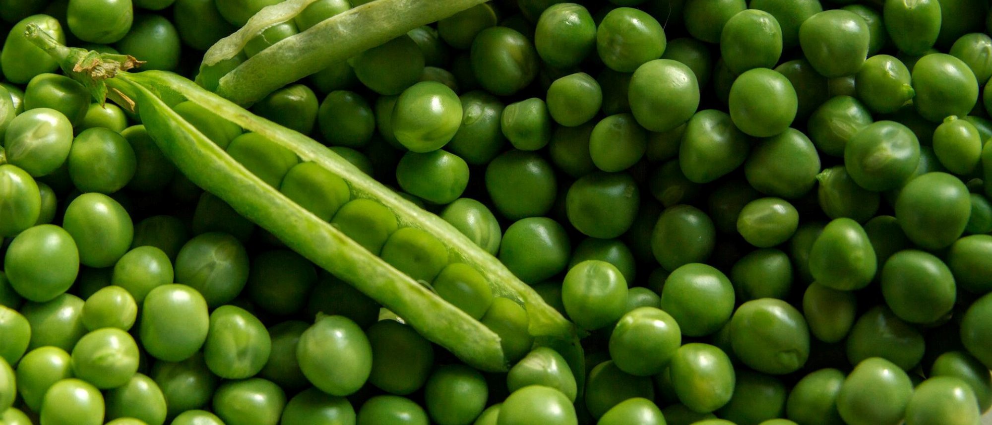 Grow tasty snap peas plus other varieties