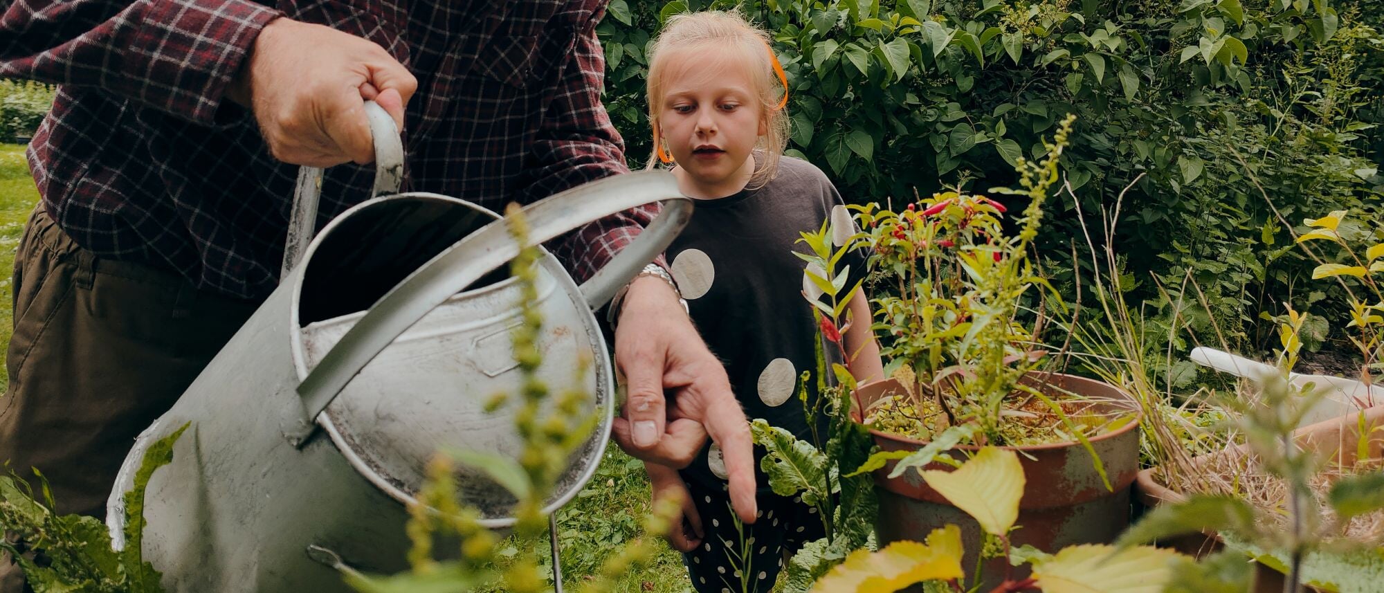 Child looking at popular plants in the garden
