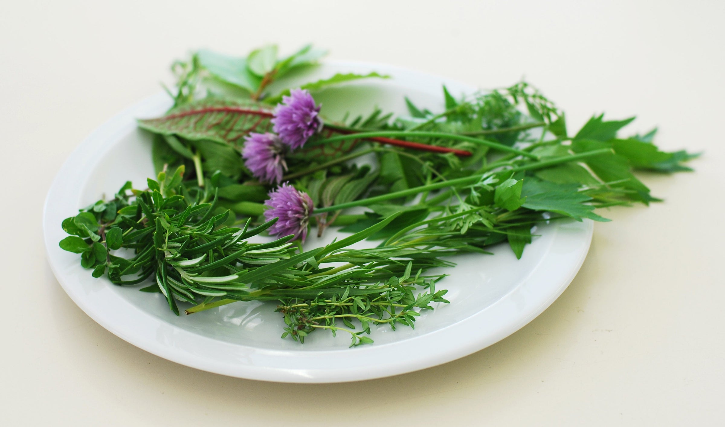 culinary and medicinal herb collections for you