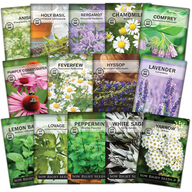 medicinal plants and herbs Large Medicinal Herb Seed Collection for Planting