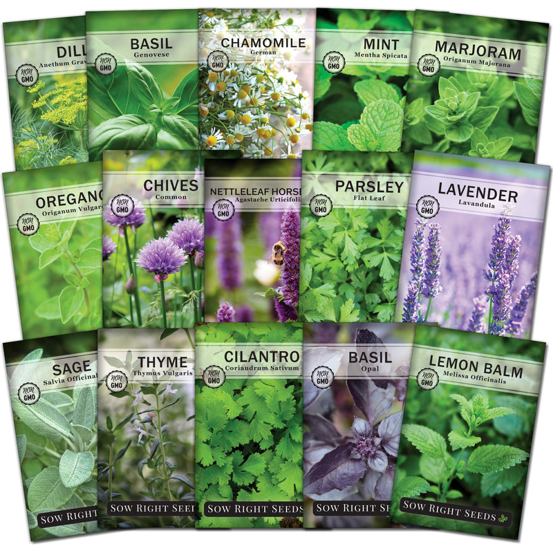 15 herb seed collection dill basil chamomile mint marjoram oregano chives nettleleaf horsemint parsley lavender sage thyme cilantro basil lemon balm sow right seeds