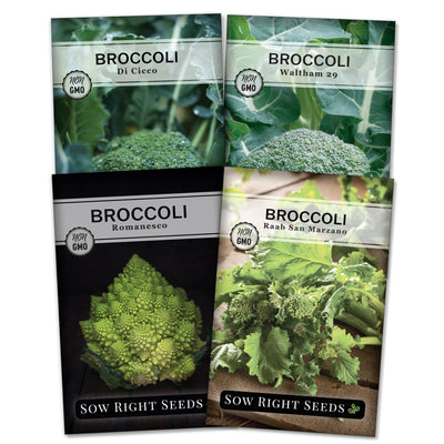 Broccoli Collection
